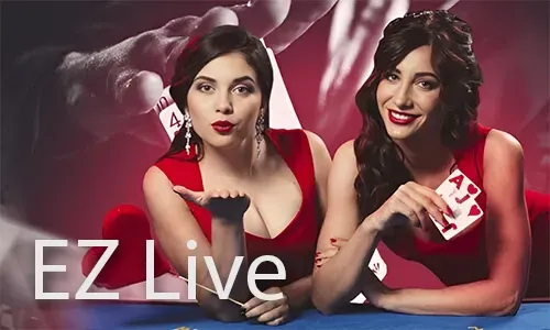 Bingoplus Sports Betting